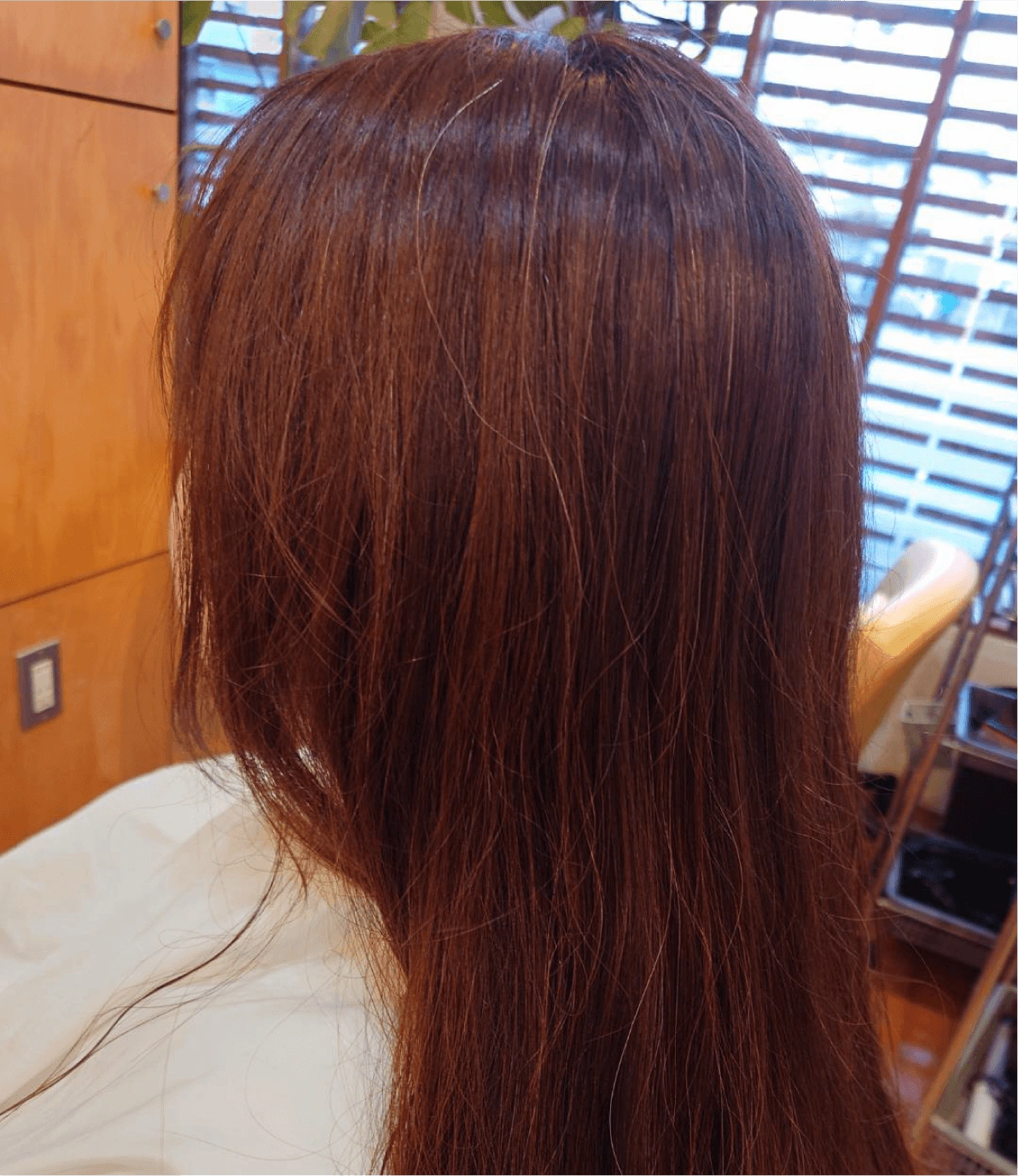 施術前の髪