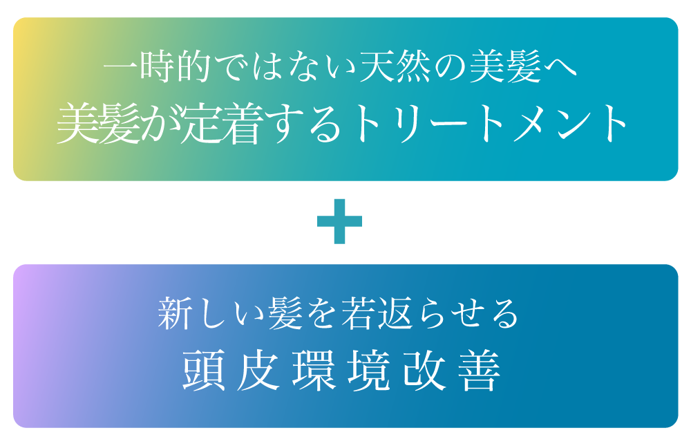 一時的ではない天然の美髪へ 美髪が定着するトリートメント+ 新しい髪を若返らせる 頭皮環境改善