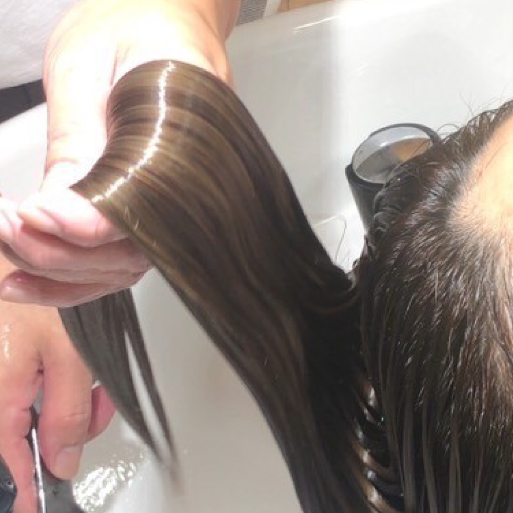 ダナエプレミアムトリートメント - 画像 (3)